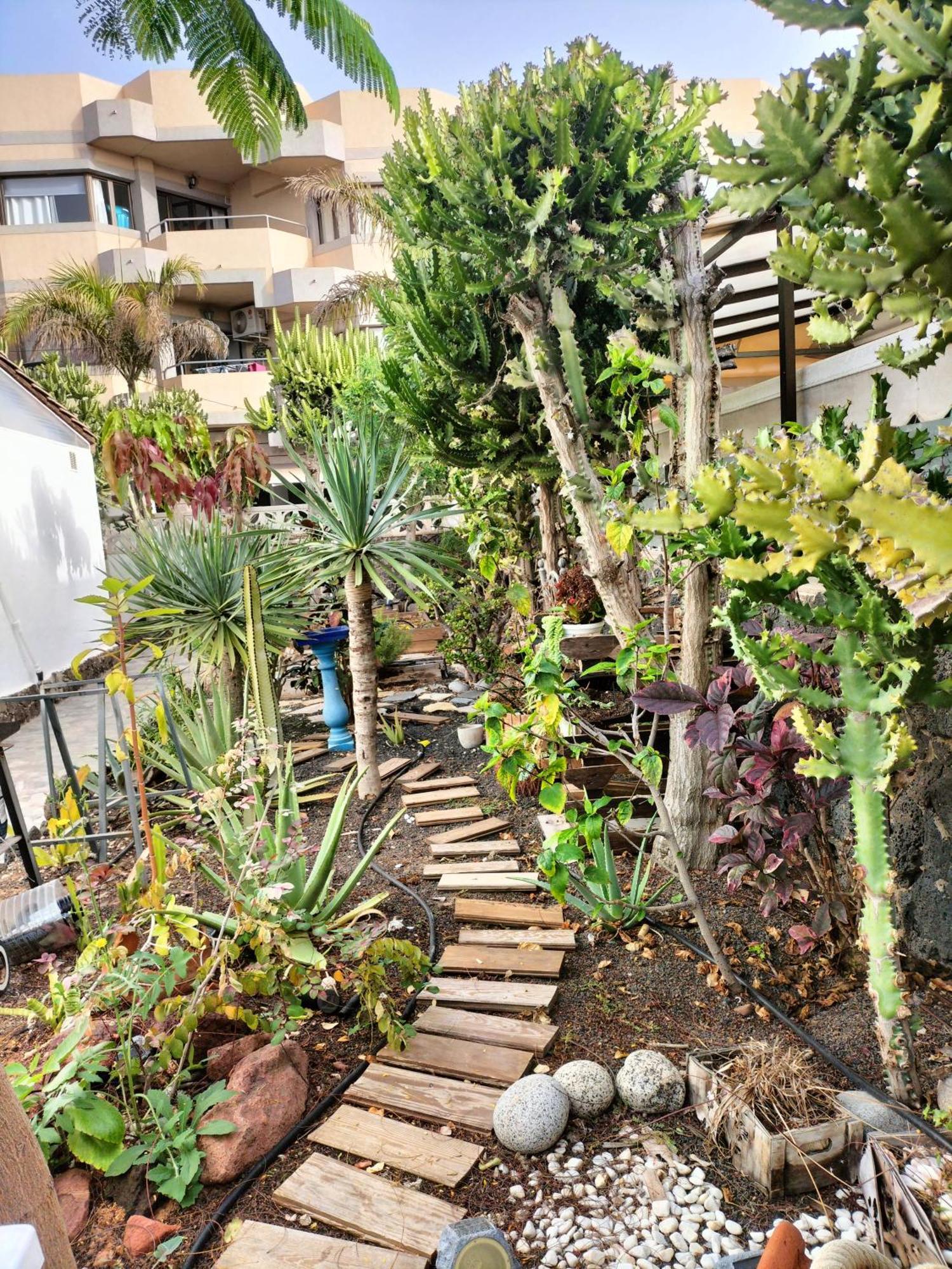 Apartamento Diamar Corralejo Dış mekan fotoğraf
